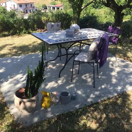Apartment Fig&lavender