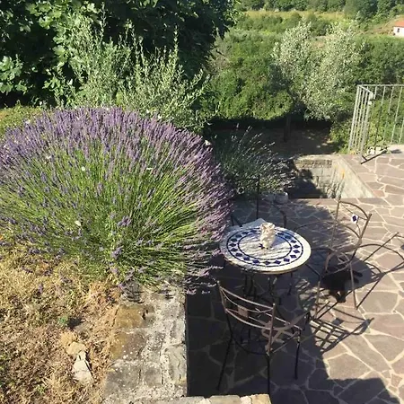 Apartman Fig&lavender *