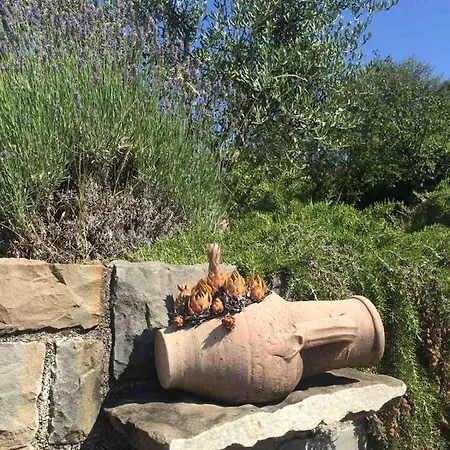 Apartman Fig&lavender