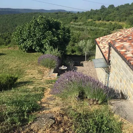 Fig&lavender Smarje (Koper)