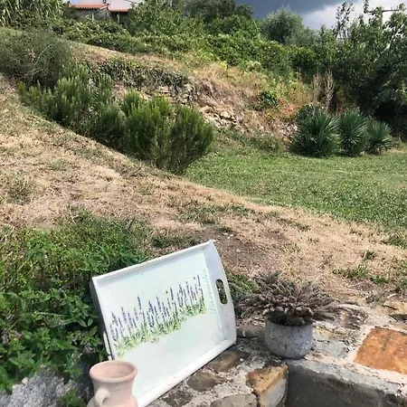 Fig&lavender * Šmarje