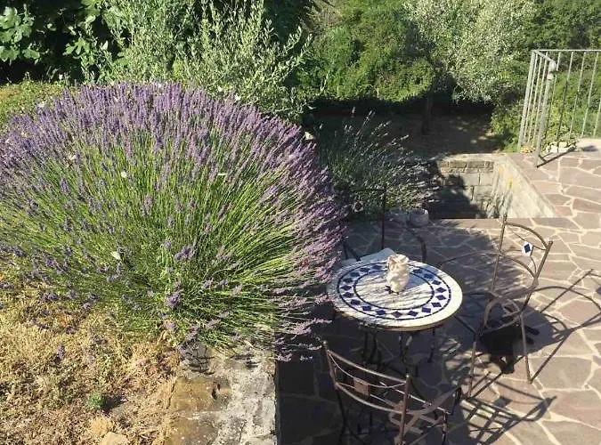 דירה Fig&lavender *