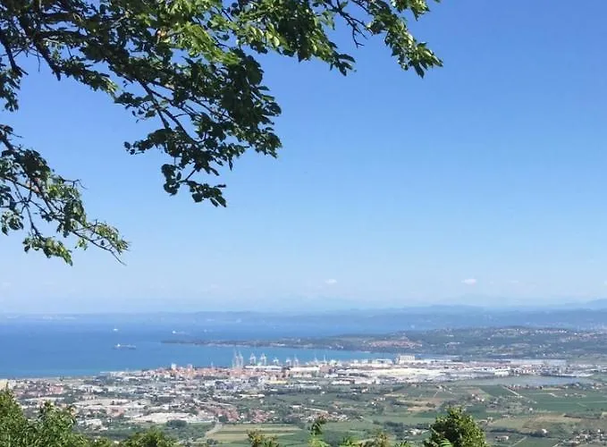 Fig&lavender Appartement Šmarje