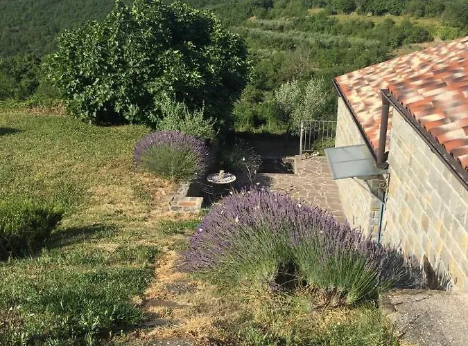 Fig&lavender Šmarje