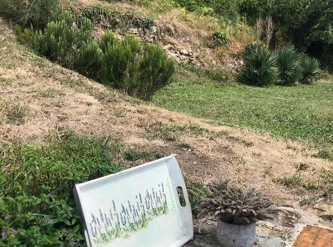 Fig&lavender * Šmarje